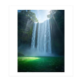 Lush Sun-Drenched Autumn Forest (Print Only) thumbnail