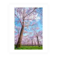 Spring in optima forma (Print Only)