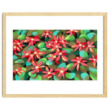 Red flowers thumbnail