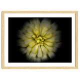 Backyard Flowers No 86 Color Flow Version thumbnail
