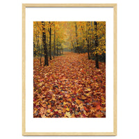 Ethereal Autumn Forest Path