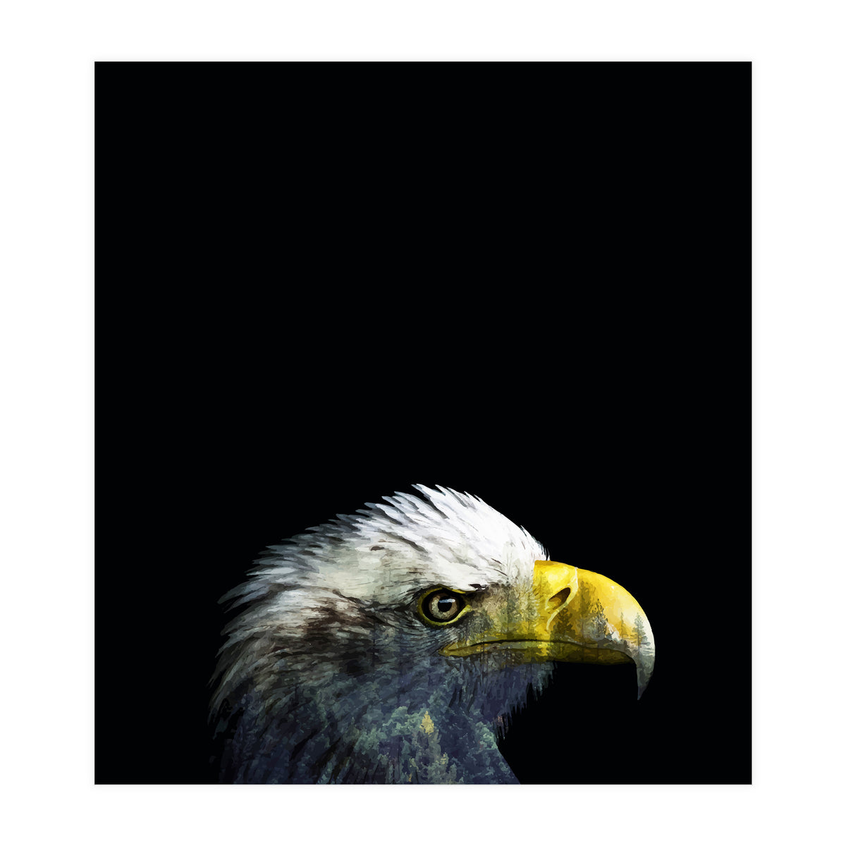 What It A Dream (Print Only)