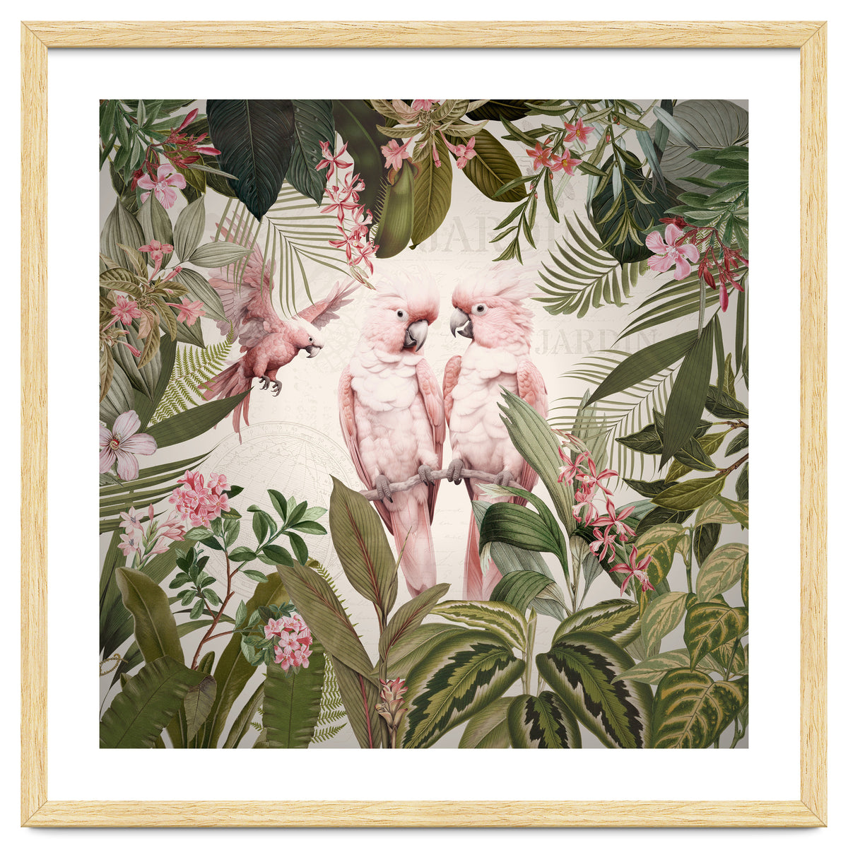 Pink Parrots Exotic Rainforest