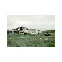 Sheep with a farmhouse - Iceland  (Print Only)