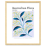 Australian Flora: Golden Wattle thumbnail