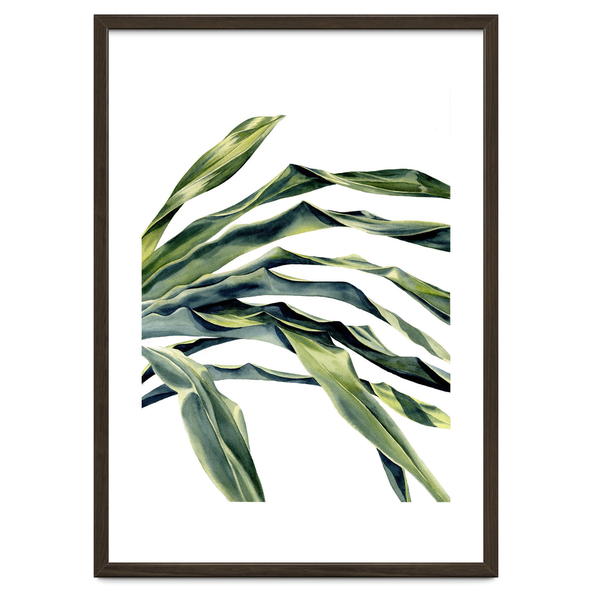 Green Palm Leaves