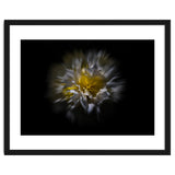 Backyard Flowers No 25 Color Flow Version thumbnail