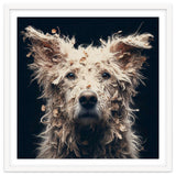 Old Dog 06 thumbnail