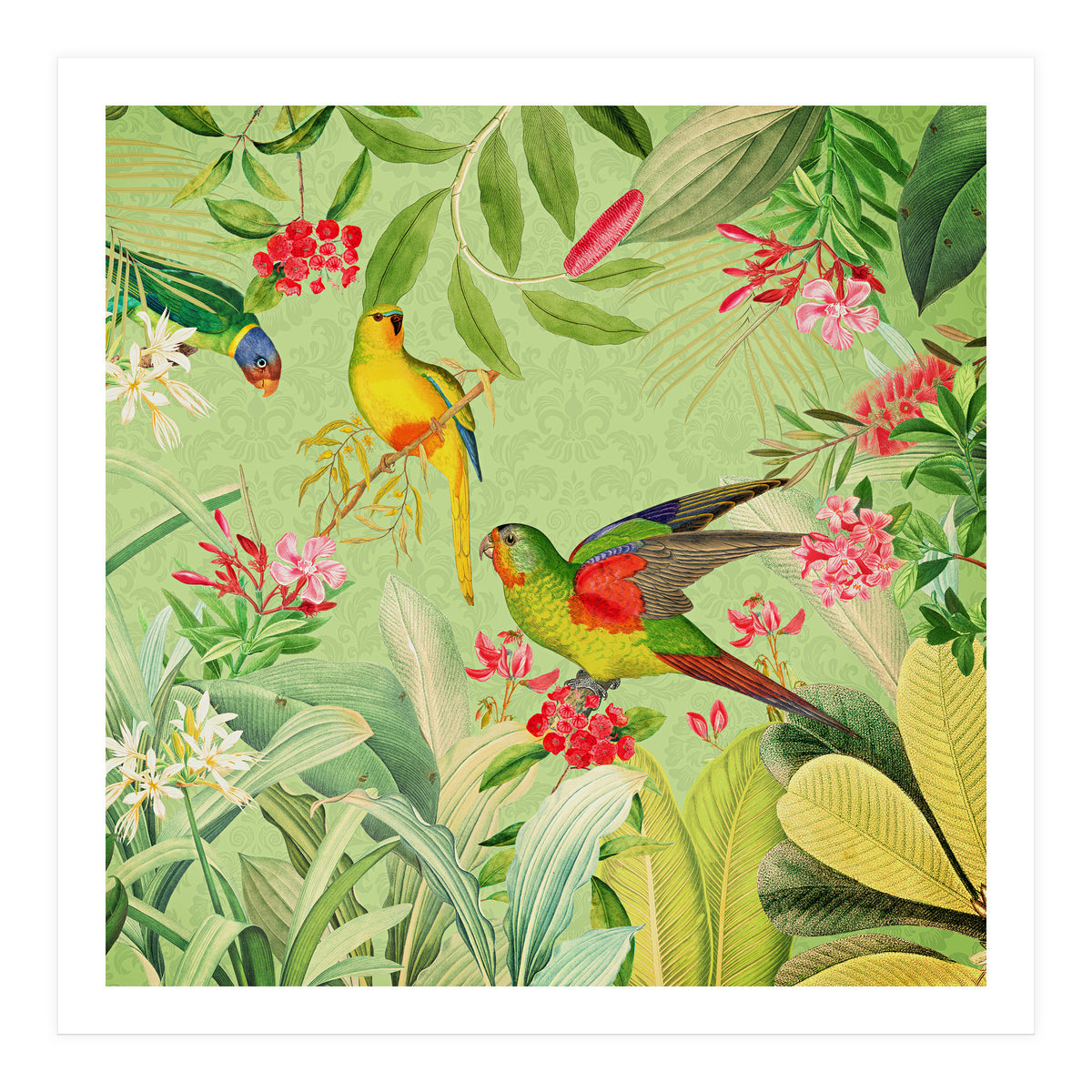 Summer Day Vintage Tropical Jungle (Print Only)