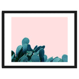 Kaktos thumbnail