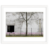 A tree in front of the wall thumbnail