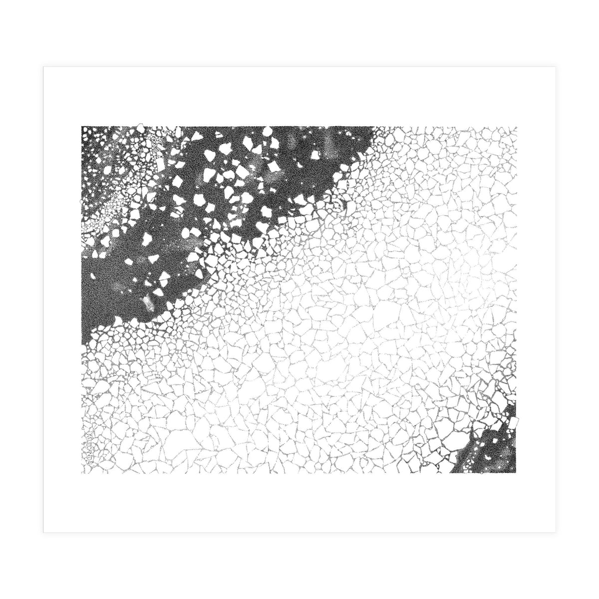 80 Degrees North (Print Only)