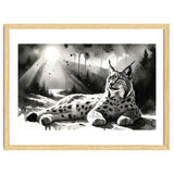 Lynx Resting In Sunlight thumbnail