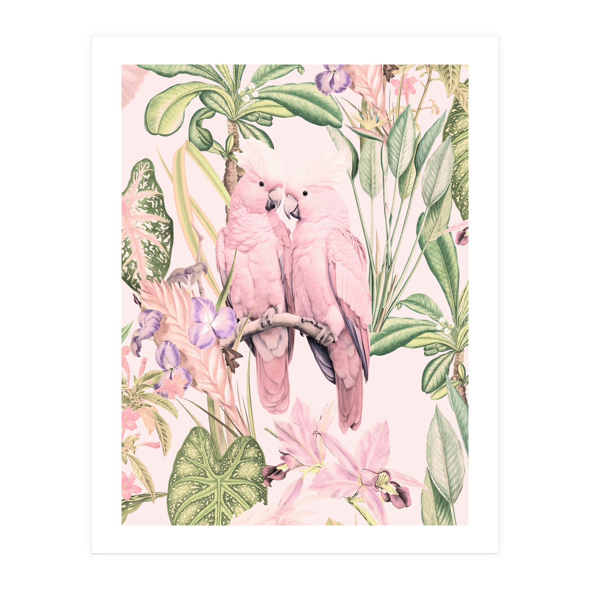 Pink Cockatoos in Love (Print Only)