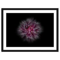 Backyard Flowers No 116 Color Flow Version