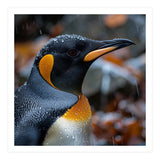 King Penguin In Rain With Water Drops (Print Only) thumbnail