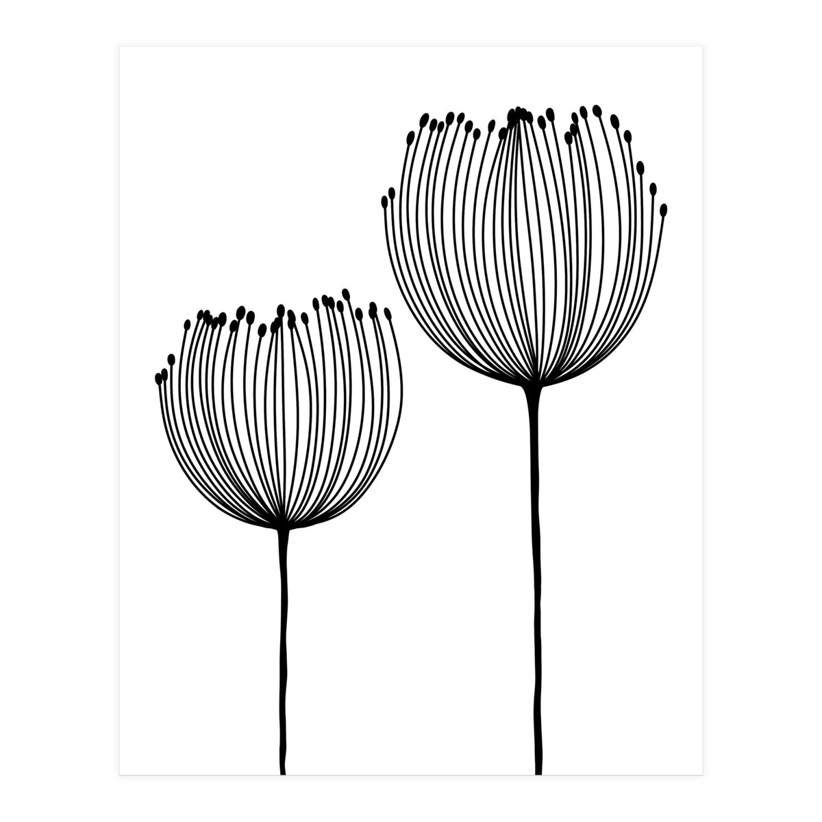 Two wildflowers (Print Only)