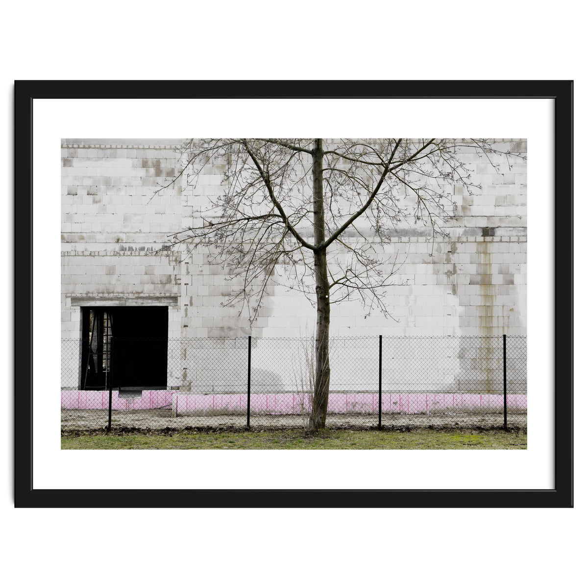 A tree in front of the wall