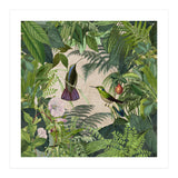 Tropical Hummingbird Jungle (Print Only) thumbnail