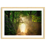 Hare in paradise thumbnail