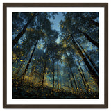 Celestial Forest Canopy with Swirling Golden Fireflies and Deep Twilight Blue Sky Digital Art thumbnail