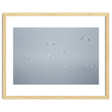 Flying seagulls in the winter sky thumbnail