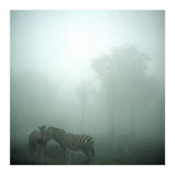 Silence of breath - 15 (Print Only) thumbnail