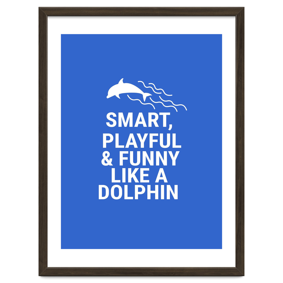 Smart, playful and funny like a dolphin