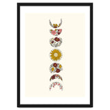 Floral Phases Of The Moon thumbnail