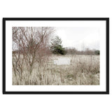 Abandoned Sofa in the middle of nowhere thumbnail
