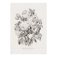 Currier & Ives – Rose of May (1870) (Print Only)