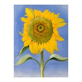 Georgia O’Keeffe – Sunflower, New Mexico (1935) | Bold Modernist Floral Painting Inspired by the American Southwest (Print Only) thumbnail