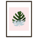 Monstera thumbnail