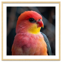 Vibrant Tropical Bird