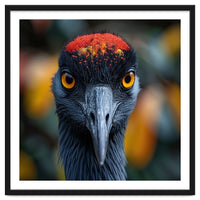 Close Up Of A Strikingly Beautiful Bird Face