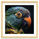 Close Up Of A Colorful Parrot's Face thumbnail