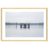 Birds rest in the Lake thumbnail