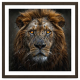 Majestic Lion With Glowing Eyes Close Up Portrait thumbnail