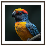 Close Up Colorful Parrot Perched On A Branch thumbnail