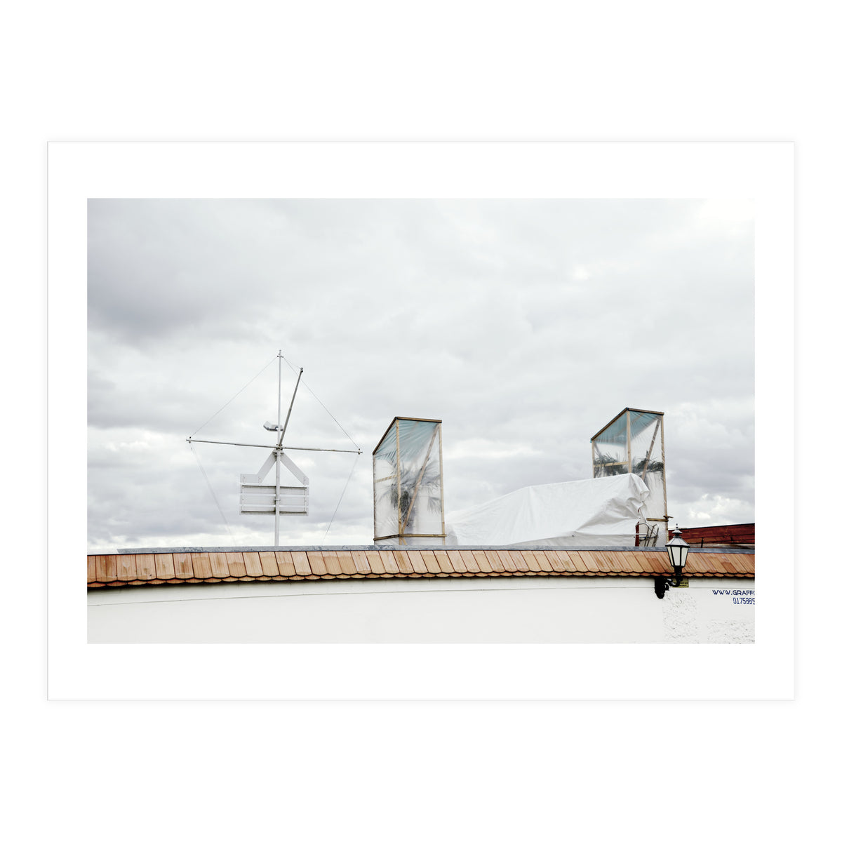 Palm tree waiting for summer (Print Only)