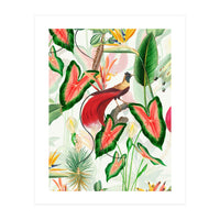 Vintage Bird Of Paradise in Jungle (Print Only)