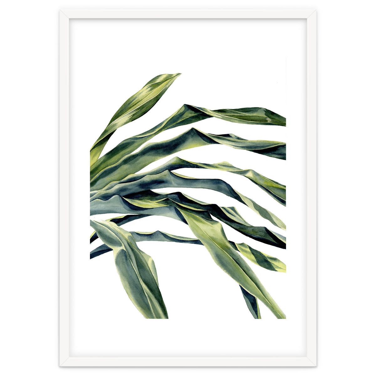 Green Palm Leaves