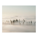 Misty Peaks: Pine Forest Above the Clouds (Print Only) thumbnail
