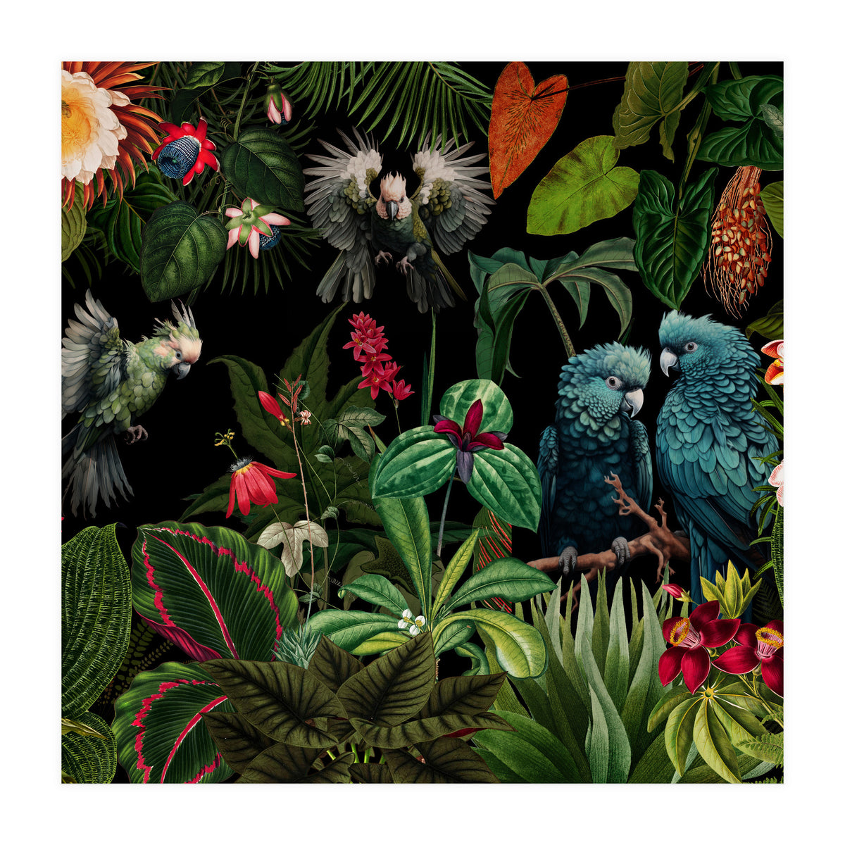 Moody Botanical Midnight Jungle Birds (Print Only)