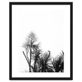 Miminalist Palm thumbnail