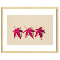Dancing Leaves