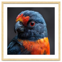 Close Up Portrait Of A Colorful Parrot