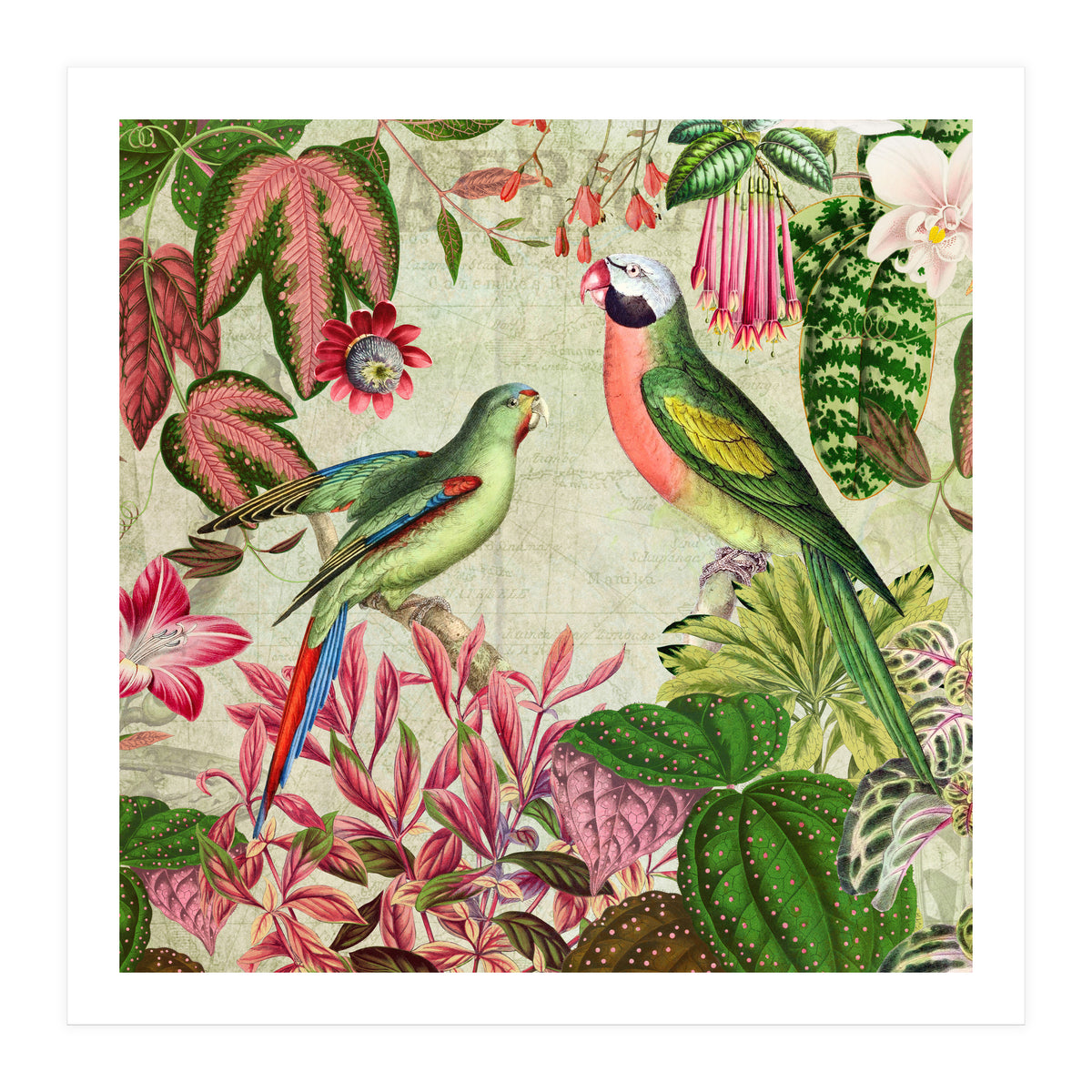 Exotic Lush Rainforest With Colorful Parrots And Flowers (Print Only)