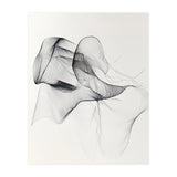 Abstract Black And White Flowing Lines Art (Print Only) thumbnail