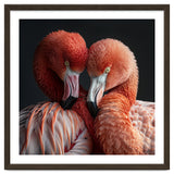 Close Up Of Two Flamingos Nuzzling Together thumbnail